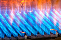 Llanifyny gas fired boilers